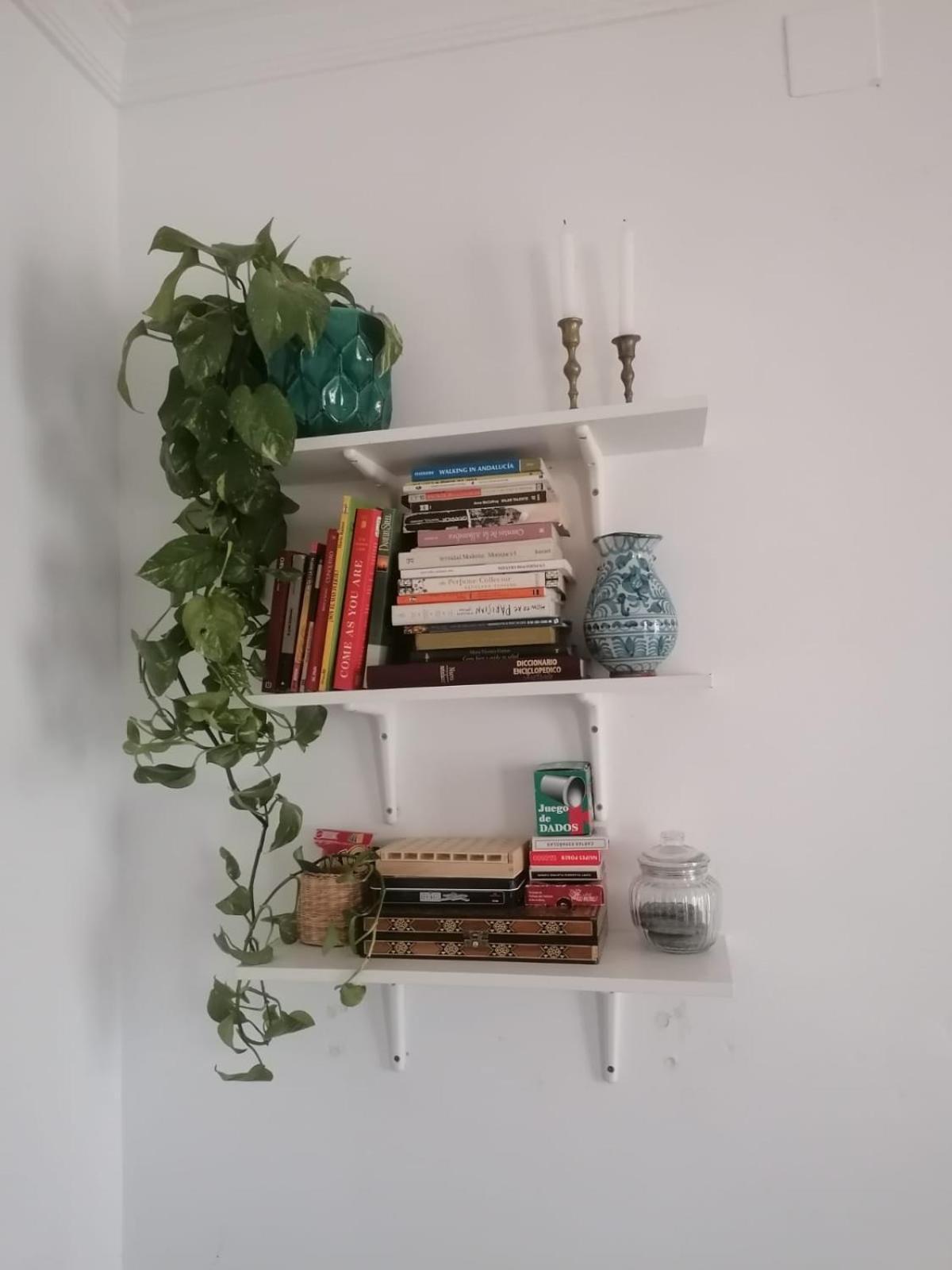 Apartamento Catedra غرناطة المظهر الخارجي الصورة